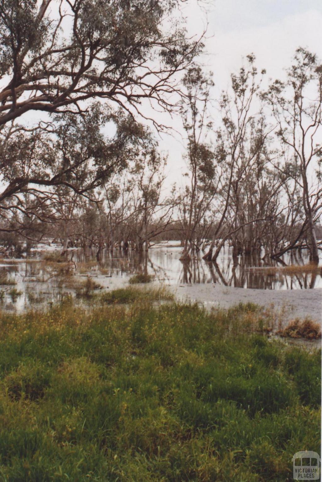 Lake Lalbert, 2010