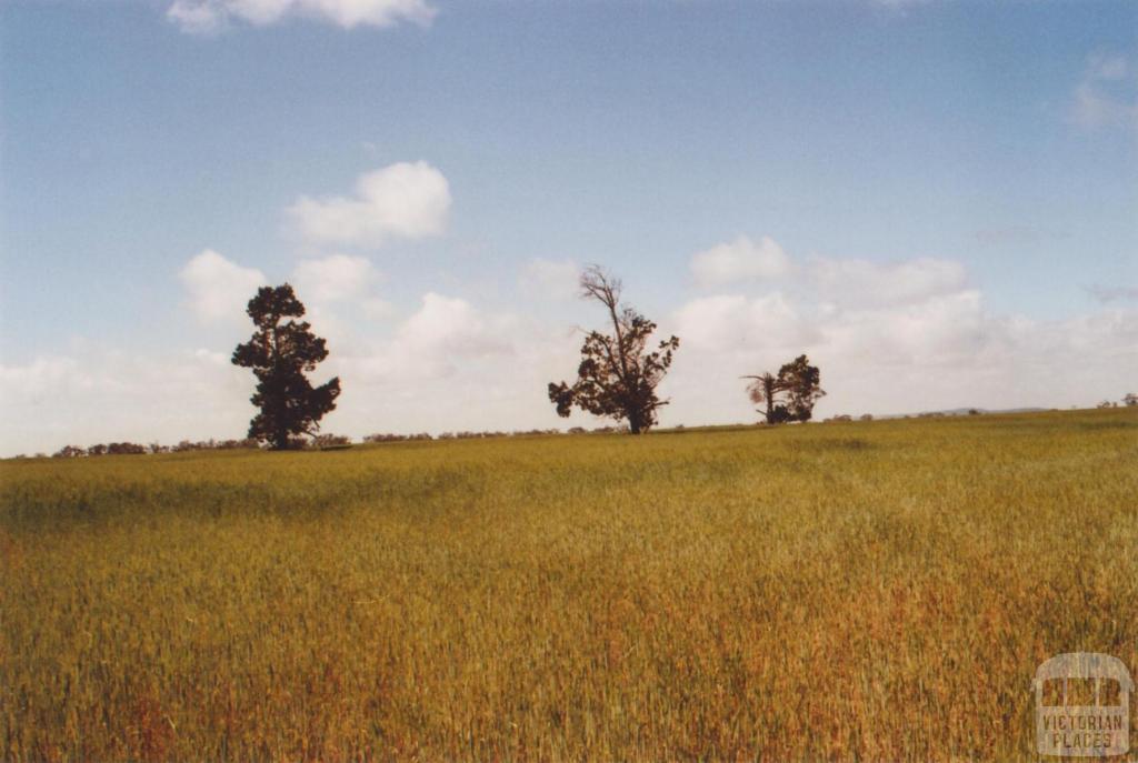 Hans Young Farm, Glenloth East, 2010