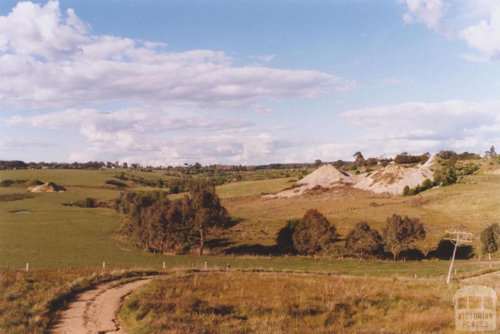 Newtown, 2010