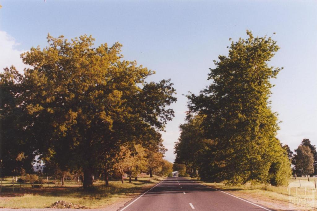 Avenue of Honour, Scarsdale, 2010