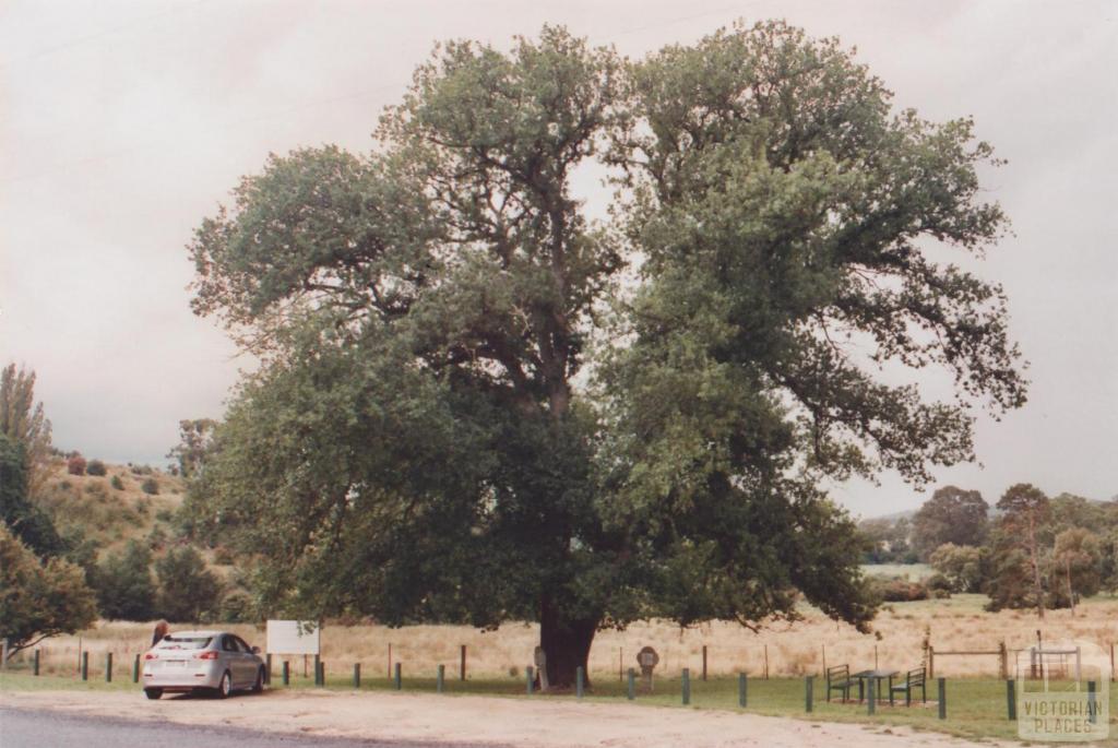 Barkly Park, Taradale, 2011