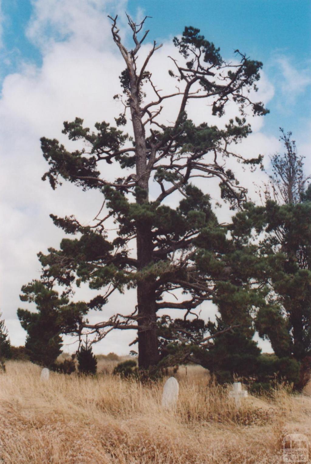 Donnybrook Cemetery, Kalkallo, 2011