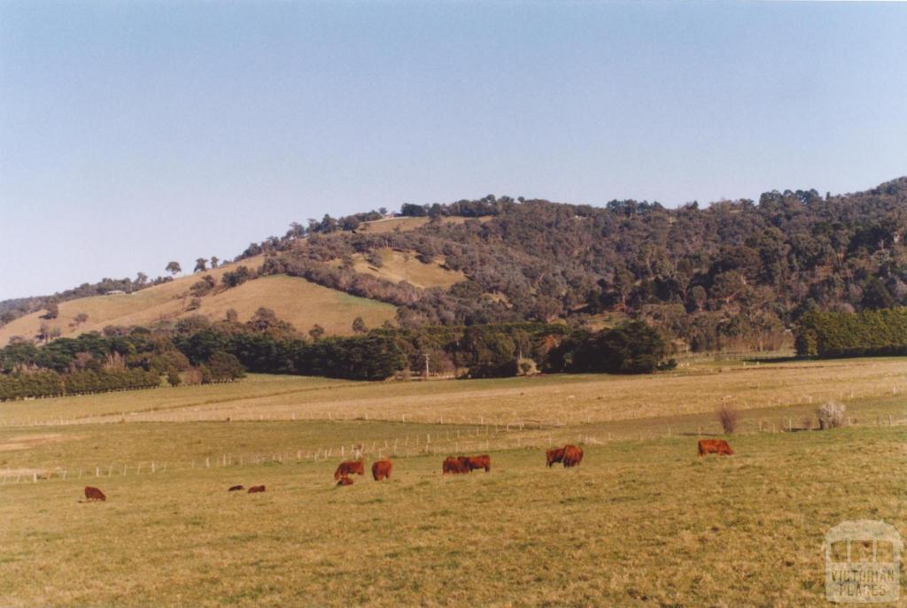 Yarra Glen, 2011