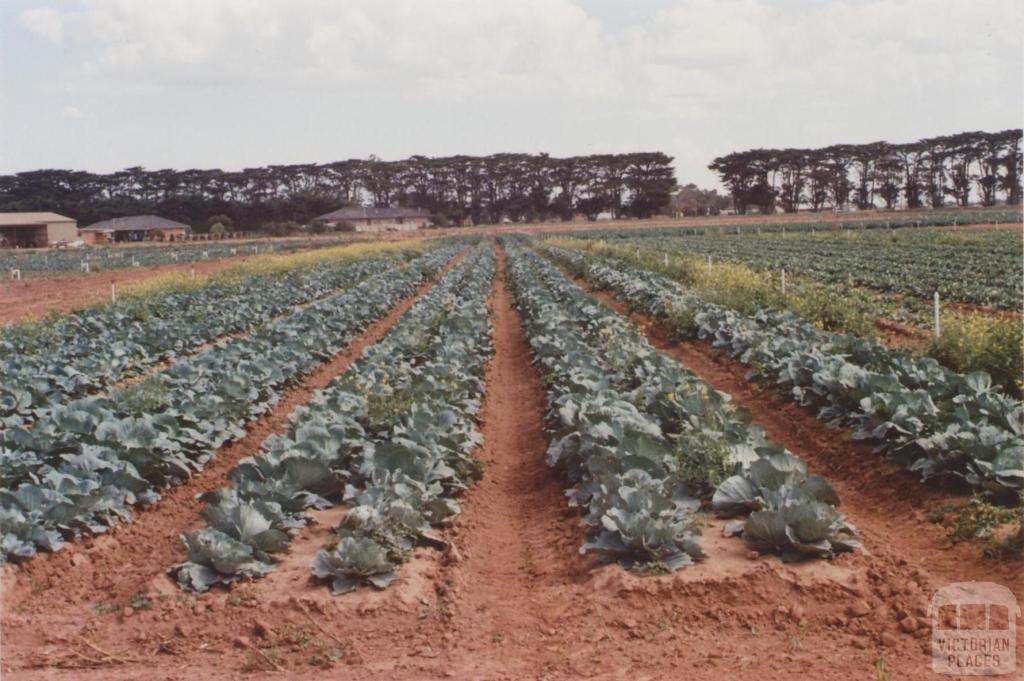 Farm, Werribee South, 2013