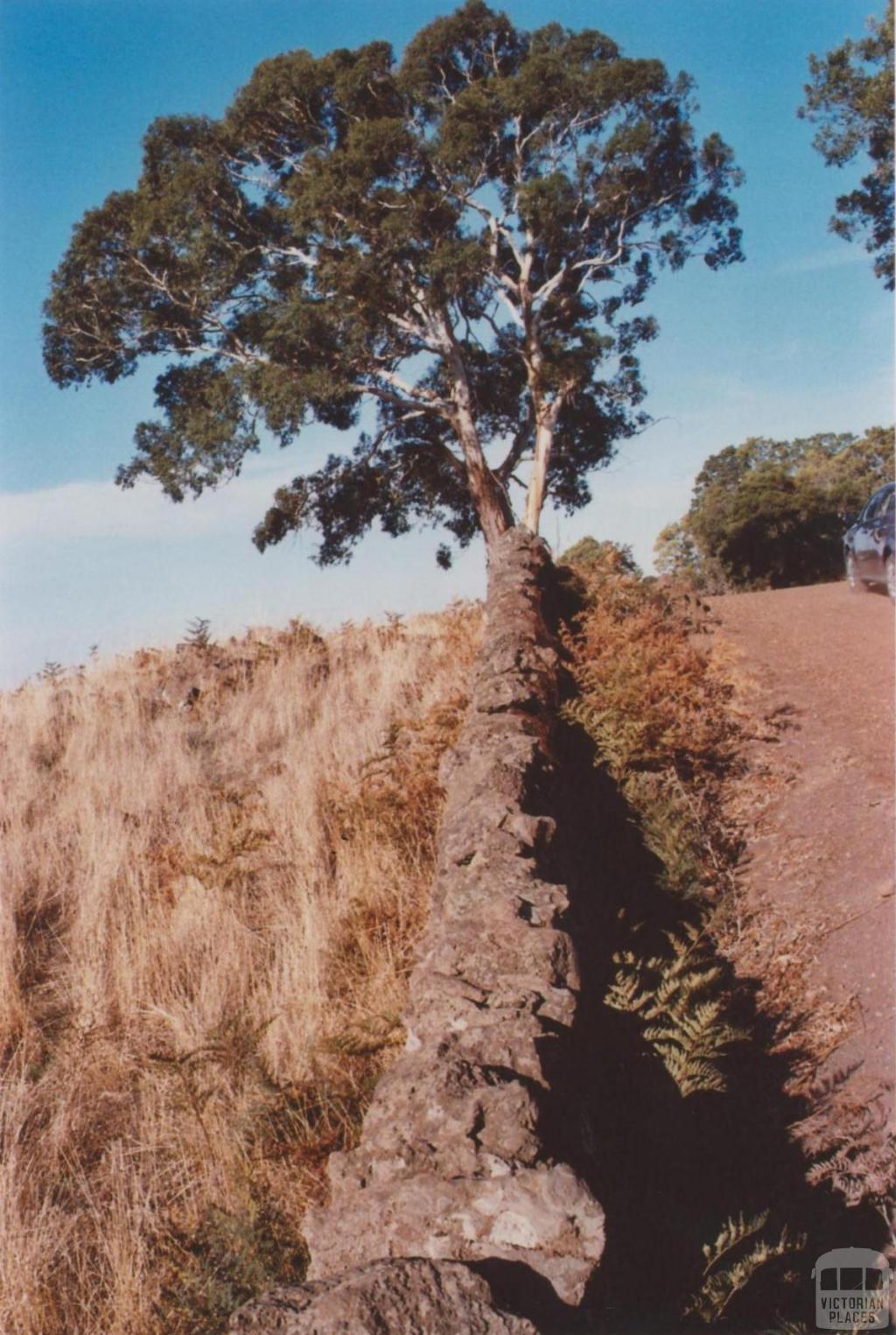 Stone Fence, Pomborneit, 2013