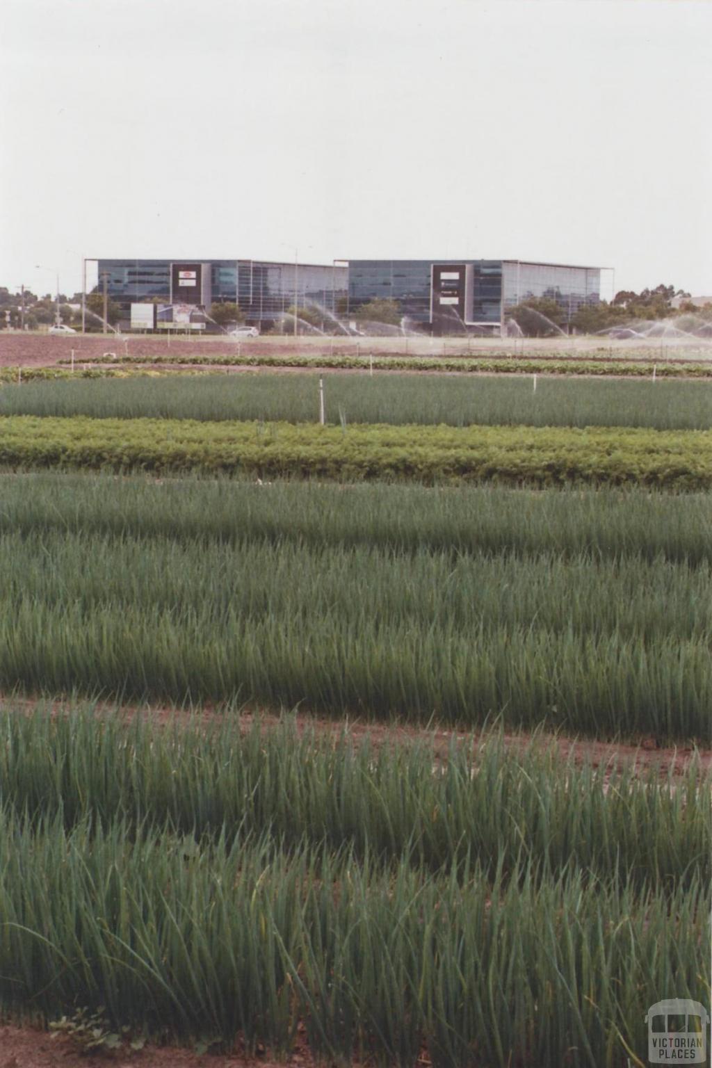 Market Garden, Heatherton, 2011