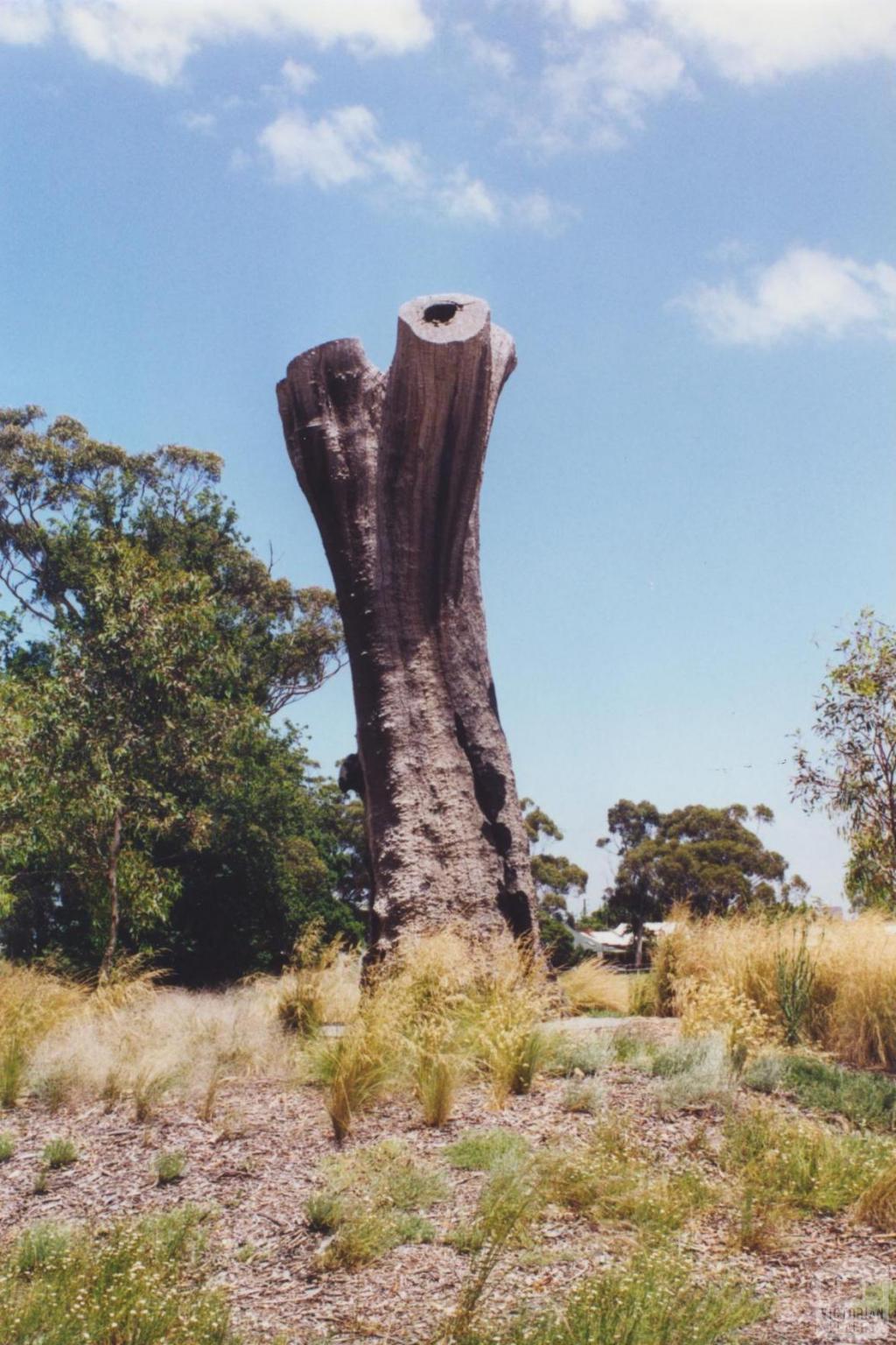 Aboriginal Tree, Burnley Park, 2000