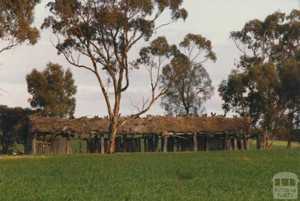 Thatched building, Antwerp, 1980