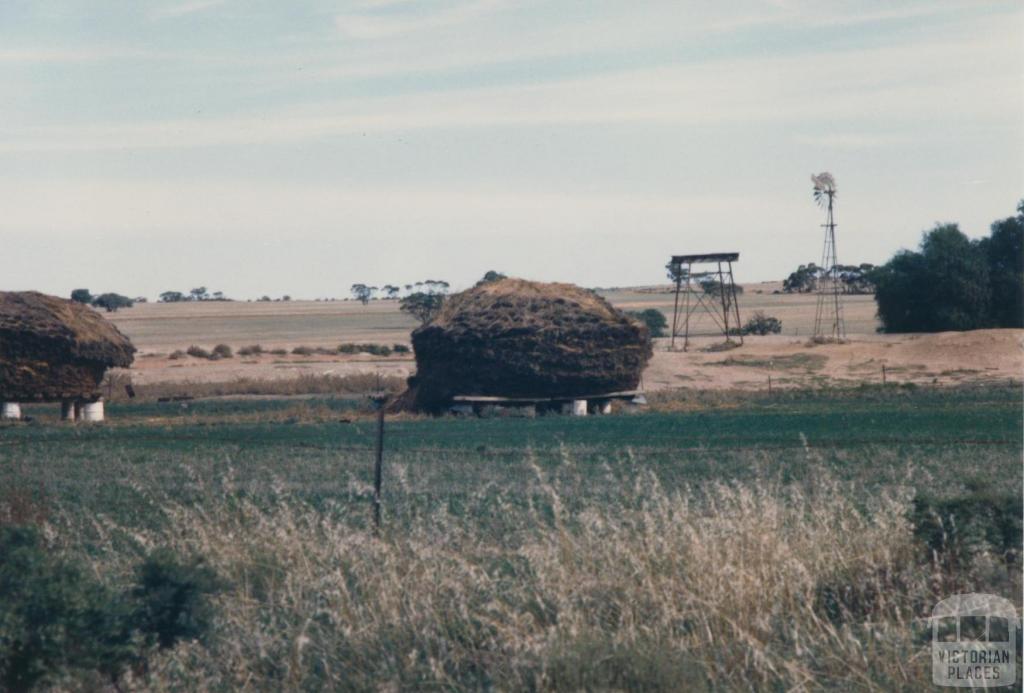 Hay, Galah, 1980