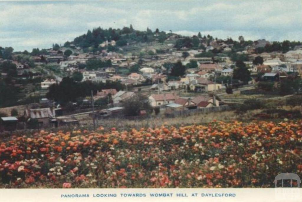 Panorama looking towards Wombat Hill at Daylesford, 1957