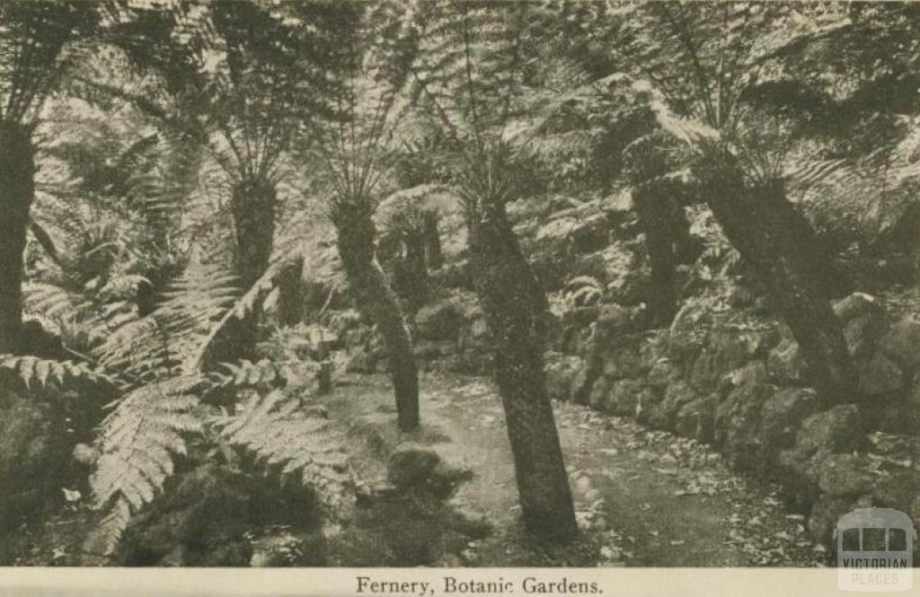 Fernery, Botanic Gardens, Daylesford