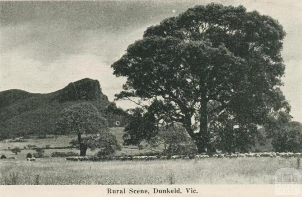 Rural scene, Dunkeld, 1952