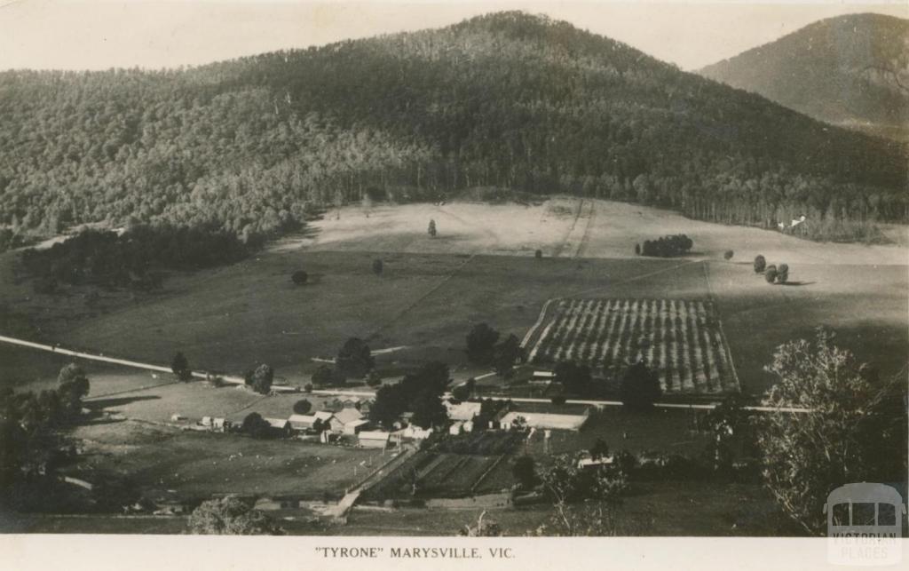 Tyrone, Marysville, 1951