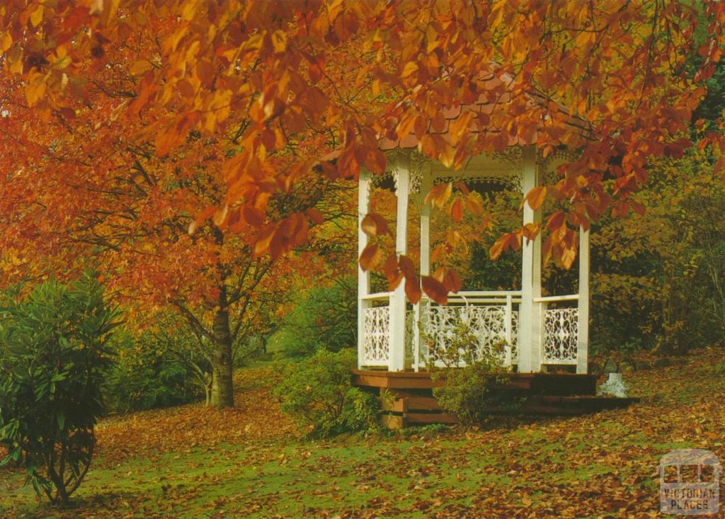 Autumn in private garden, Marysville, 1986