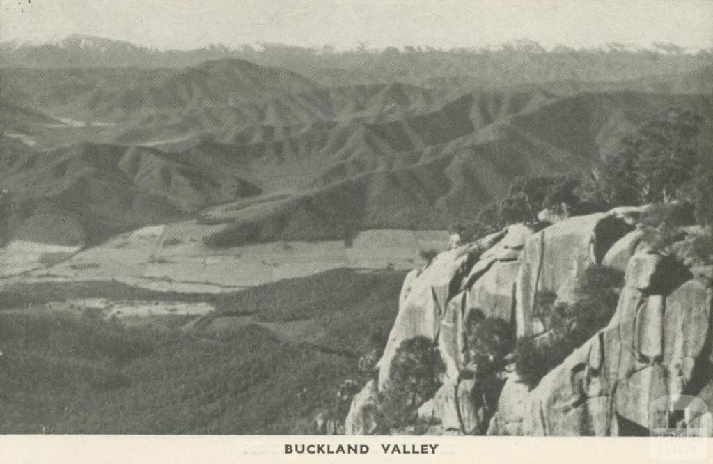 Buckland Valley, Mount Buffalo, 1953