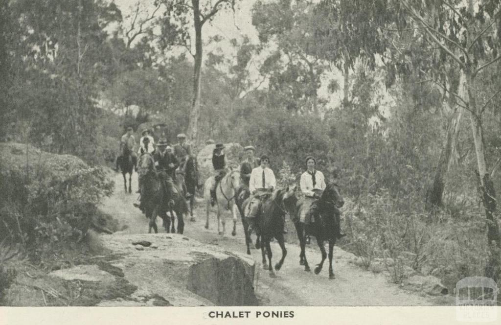 Chalet Ponies, Mount Buffalo, 1953