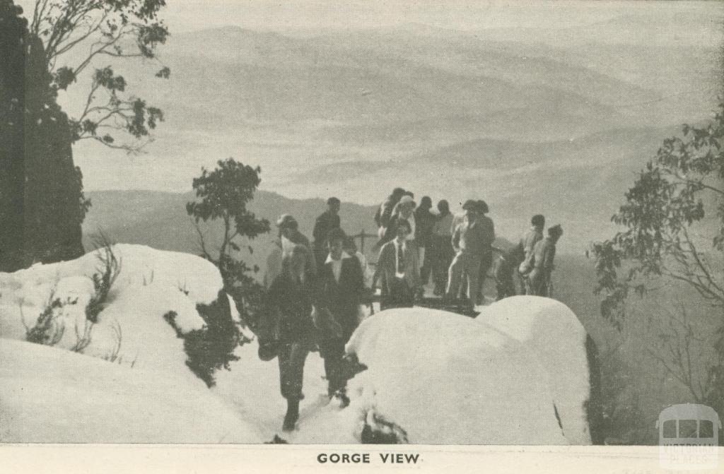 Gorge View, Mount Buffalo, 1953