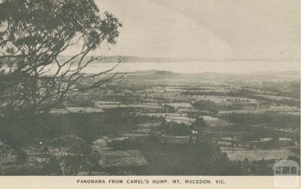 Panorama from Camel's Hump, Mount Macedon, 1949