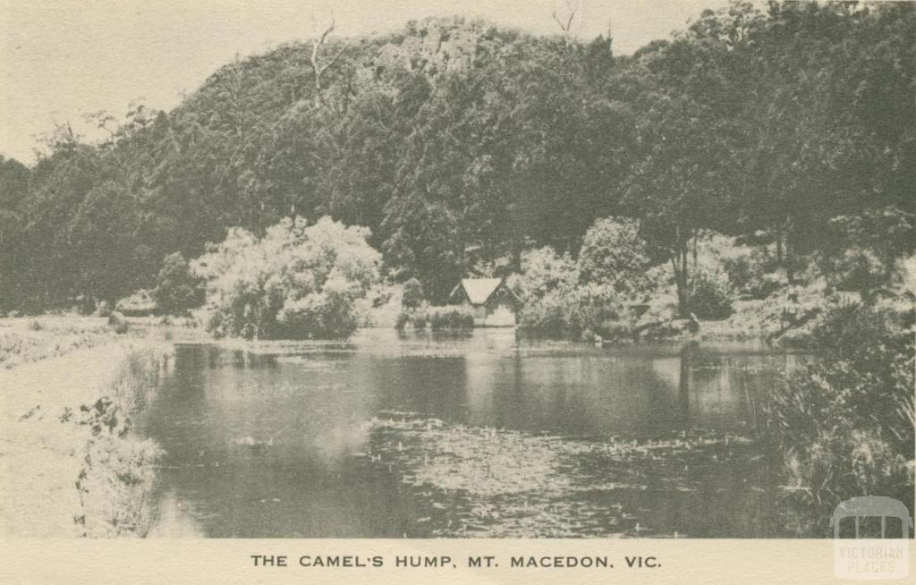 The Camel's Hump, Mount Macedon, 1949