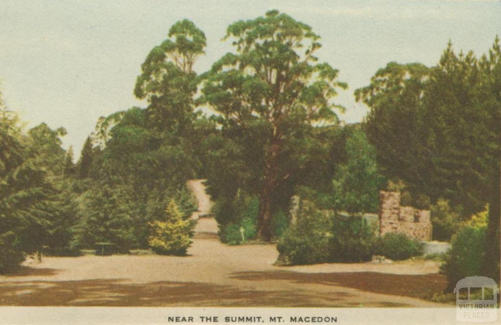 Near the Summit, Mount Macedon, 1955