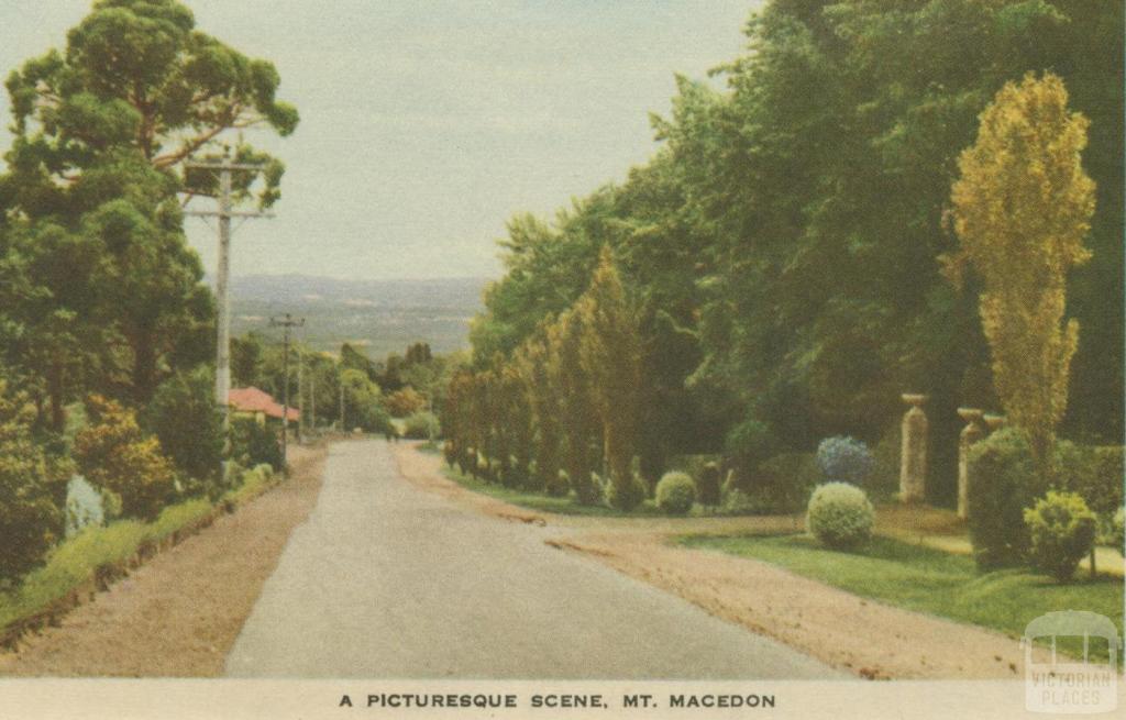 A picturesque scene, Mount Macedon, 1955