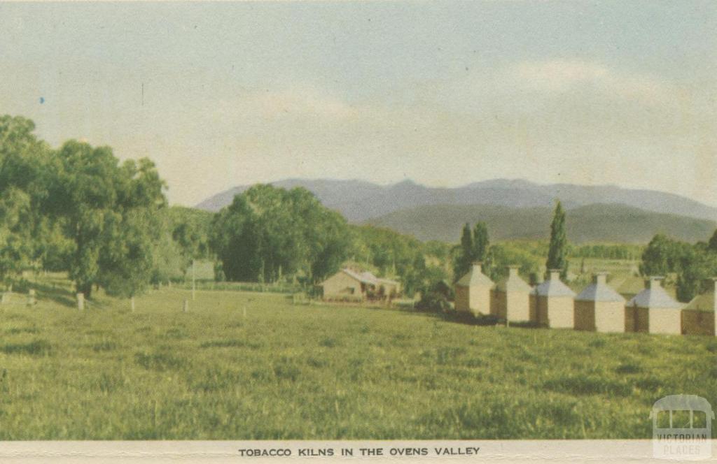 Tobacco Kilns in the Ovens Valley, 1953