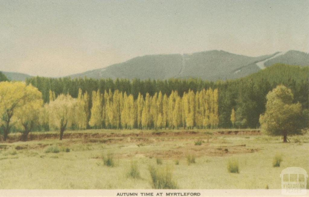 Autumn Time at Myrtleford, 1953