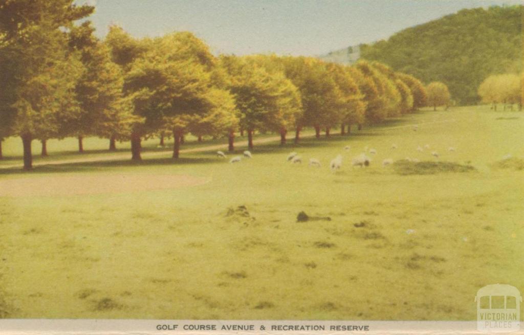 Golf Course Avenue and Recreation Reserve, Myrtleford, 1953