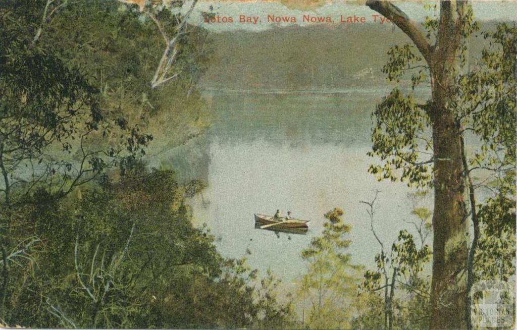 Lotus Bay, Nowa Nowa, Lake Tyers, 1908