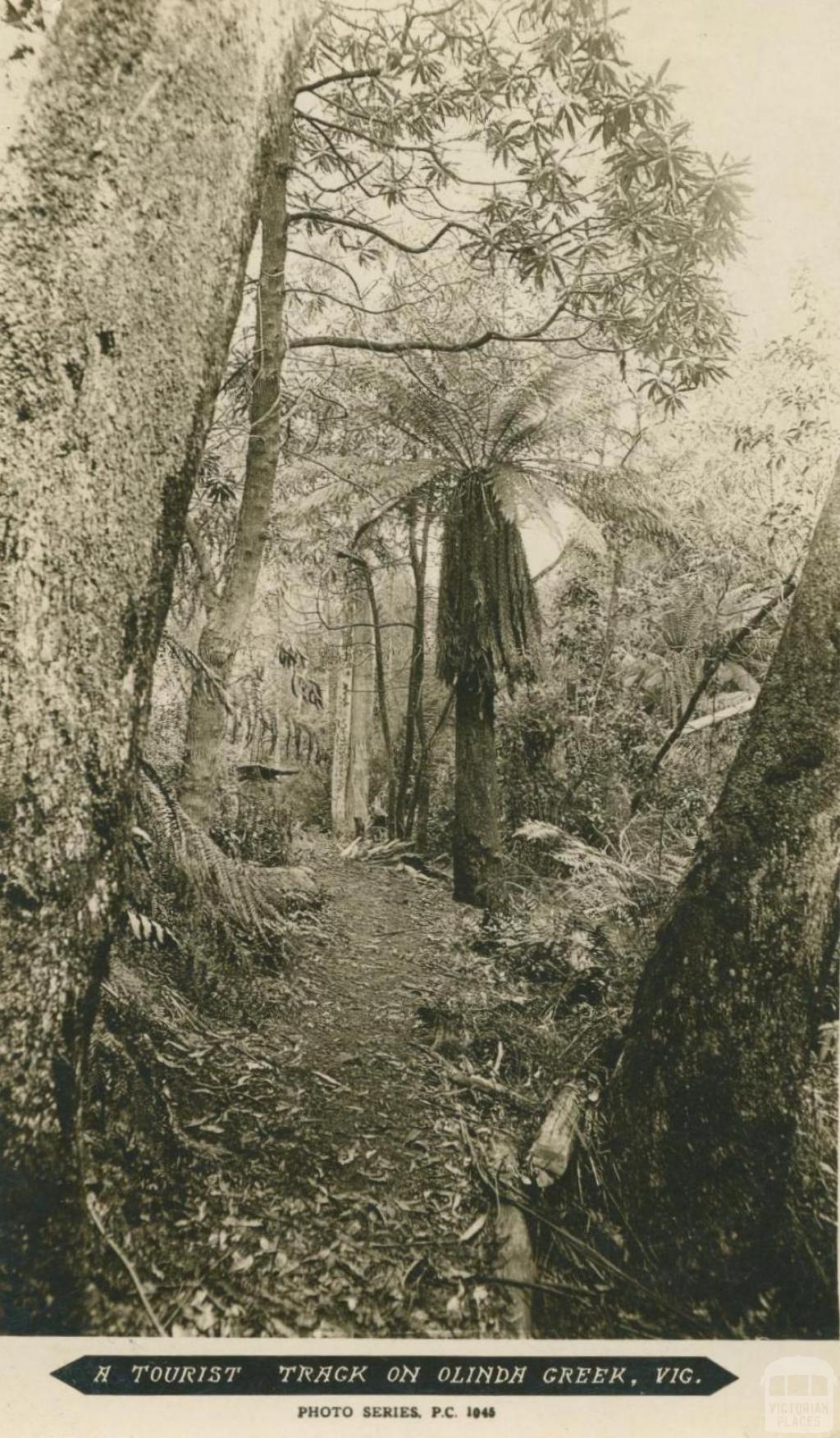 A Tourist Track on Olinda Creek, Olinda