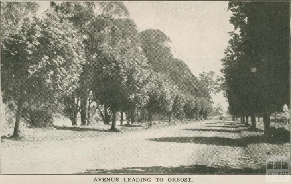 Avenue leading to Orbost, 1947