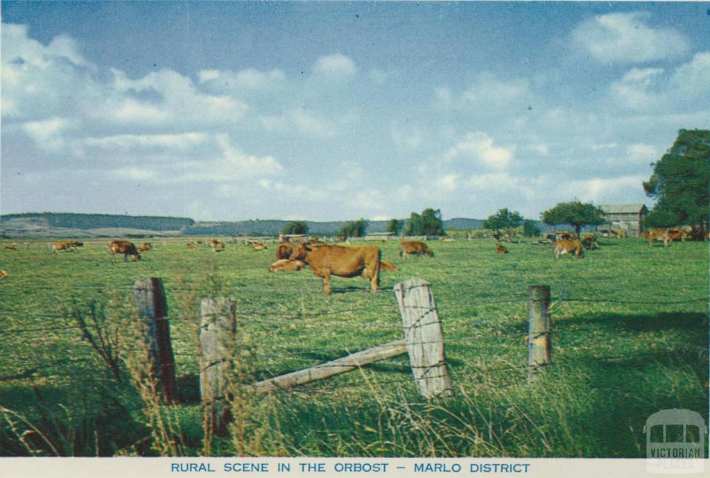 Rural scene in the Orbost - Marlo District