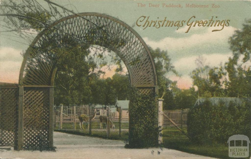 The Deer Paddock, Melbourne Zoo, Parkville, 1903