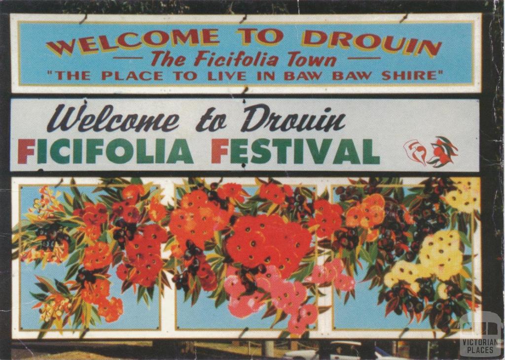 Drouin Ficifolia Festival