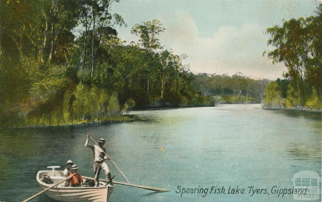 Spearing Fish - Lake Tyers, Gippsland