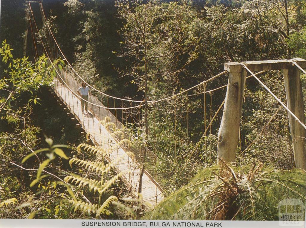 Suspension Bridge, Bulga National Park