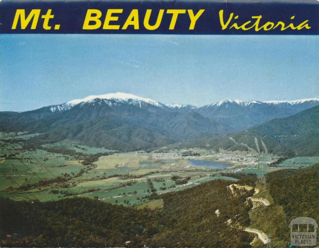 Mt Beauty Township and Mt Bogong from Power Line Lookout