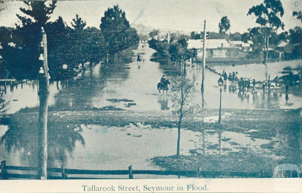 Tallarook Street, Seymour in Flood, 1908