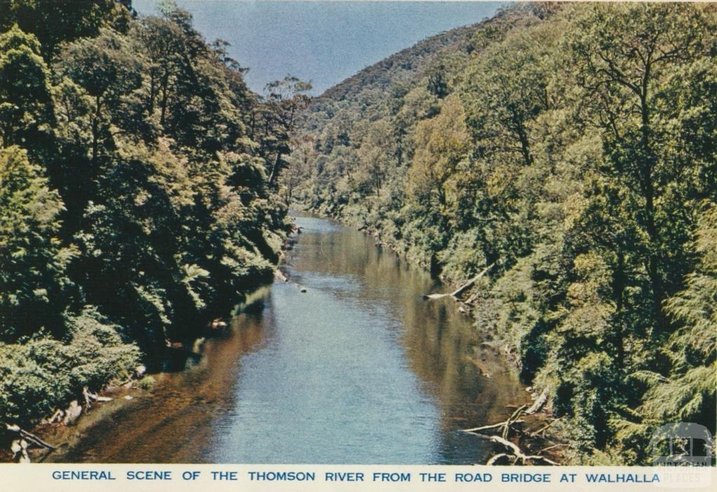 General Scene of the Thomson River from the Road Bridge at Walhalla