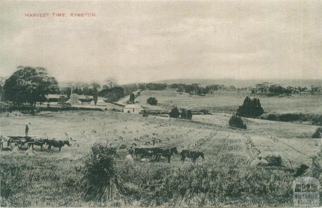 Harvest time, Kyneton, c1910