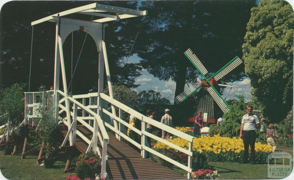 Tesselaar's Tulip Farm in the Dandenongs