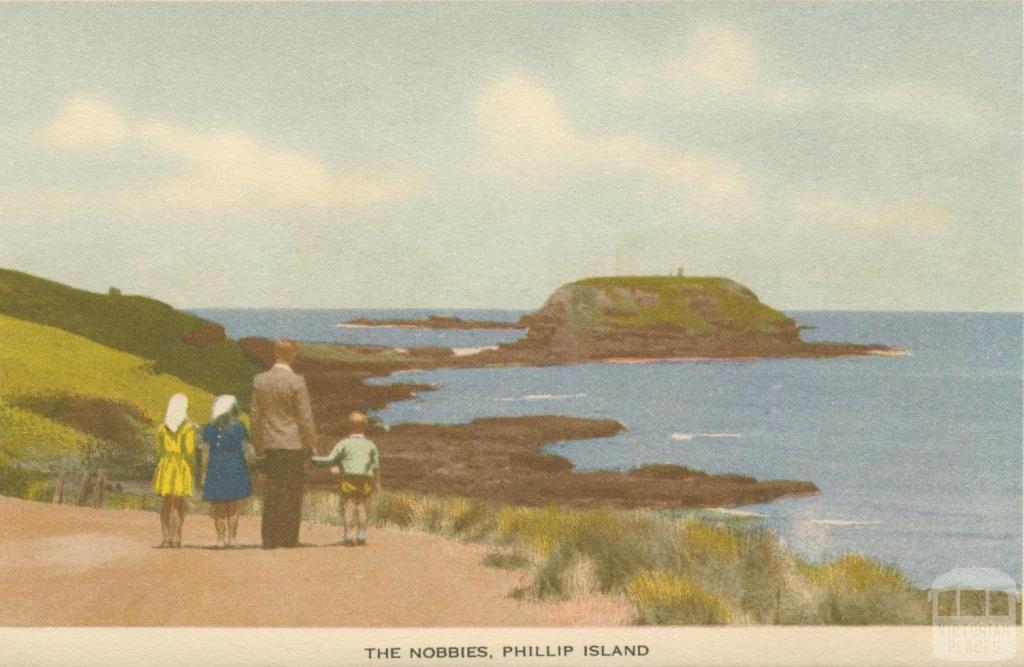 The Nobbies, Phillip Island