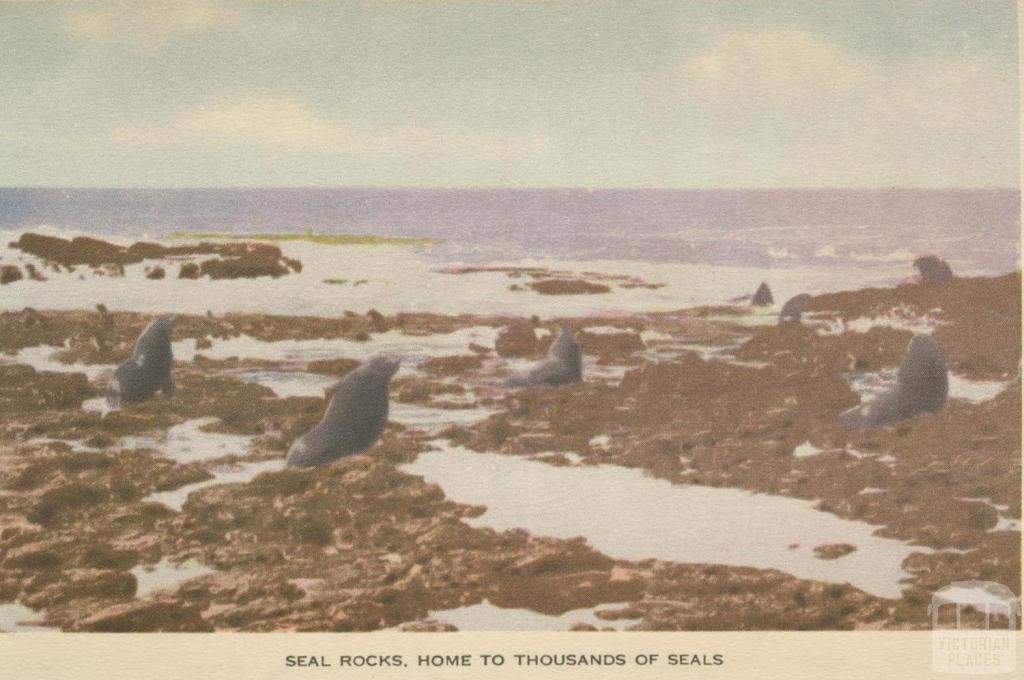 Seal Rocks, Phillip Island