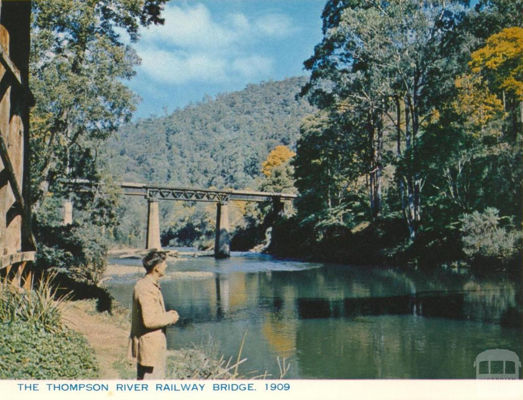 Thompson River Railway Bridge, Walhalla