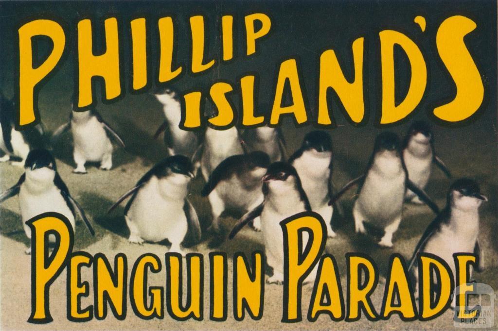 Phillip Island's Penguin Parade